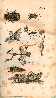 Index picture i_Dir\i_Page1.htm